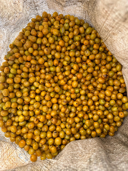 Eindejaarsspecial MEXICO Mar Mena Salazar FIL