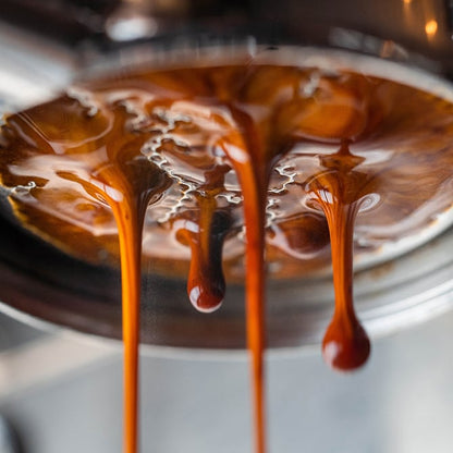 BARATZA Encore ESP coffee grinder