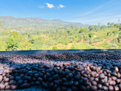ETHIOPIA Alo FIL