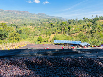 ETHIOPIA Alo FIL