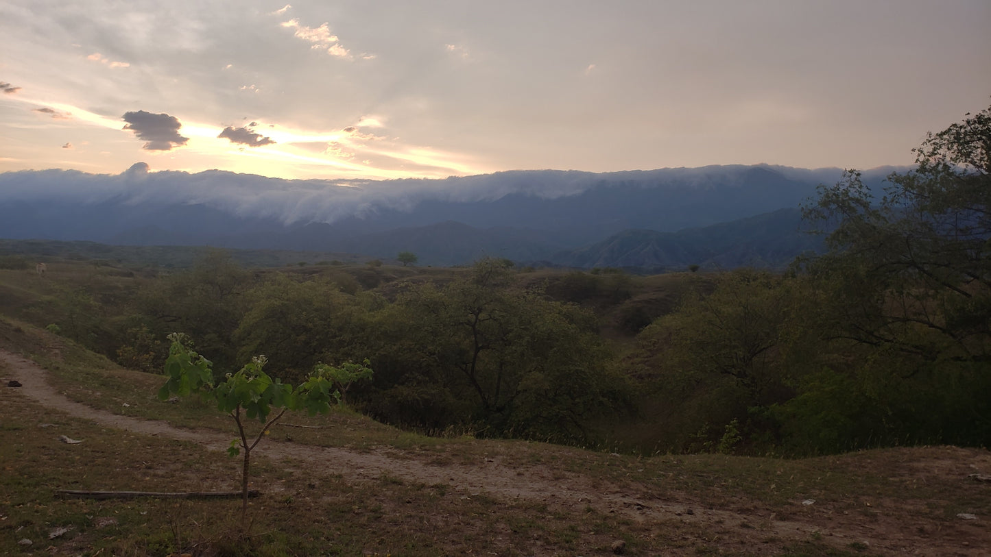 Eindejaarsspecial COLOMBIA El Porvenir - Wush Wush - Gezeild over de Oceaan | FIL