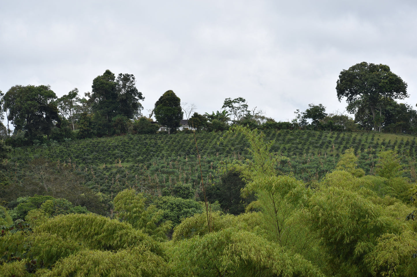Eindejaarsspecial COLOMBIA El Porvenir - Wush Wush - Gezeild over de Oceaan | FIL