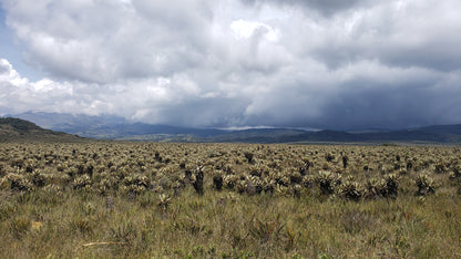 Eindejaarsspecial COLOMBIA El Porvenir - Wush Wush - Gezeild over de Oceaan | FIL