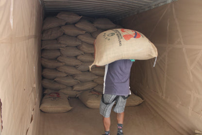 Zak groene koffie wordt gestapeld in het magazijn van COMSA