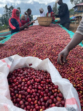 Afbeelding in Gallery-weergave laden, ETHIOPIA Gogogu ESP