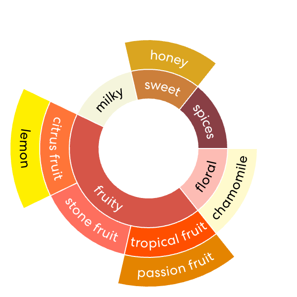 Eindejaarsspecial COLOMBIA El Porvenir - Wush Wush - Gezeild over de Oceaan | FIL