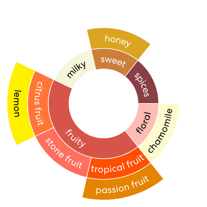 Eindejaarsspecial COLOMBIA El Porvenir - Wush Wush - Gezeild over de Oceaan | FIL