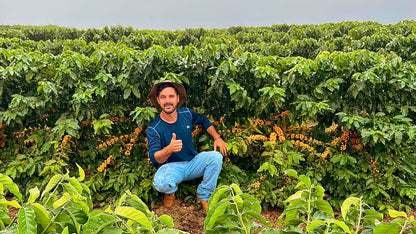 BRAZIL Fazenda Rodomunho ESP - WAY Coffee Roasters