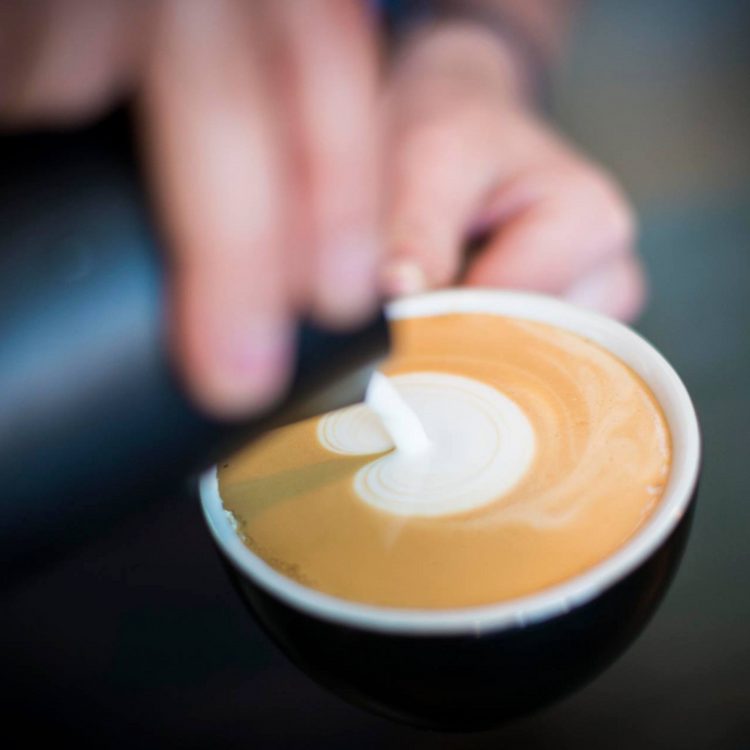 Coffee class : INTRODUCTION TO LATTE ART