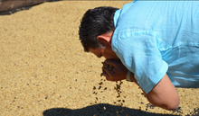 Afbeelding in Gallery-weergave laden, EL SALVADOR - Espresso - Villa Galicia - Pineapple Natural