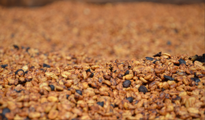 EL SALVADOR - Espresso - Villa Galicia - Pineapple Natural