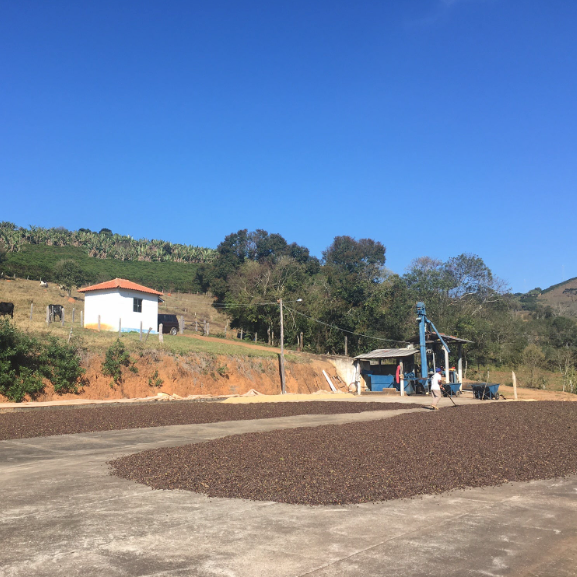 BRAZIL   Bota Fora ESP - WAY Coffee Roasters