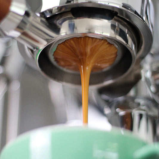 Barista Essentials Puck Screen