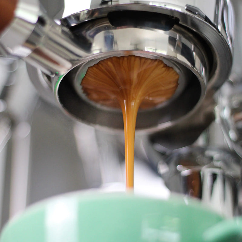 BARISTA ESSENTIALS Puck Screen