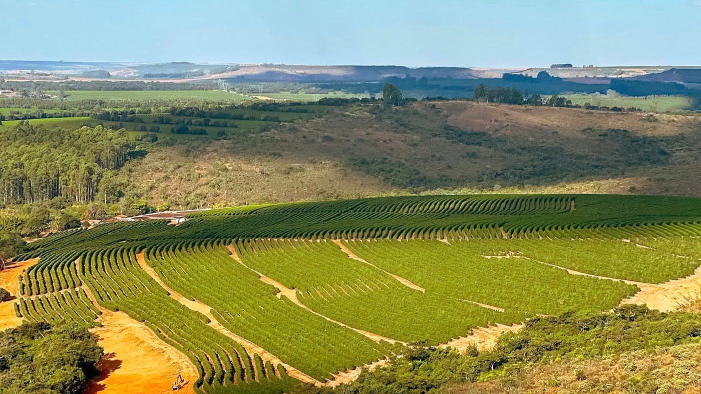Luchtfoto van koffievelden in de Cerrado
